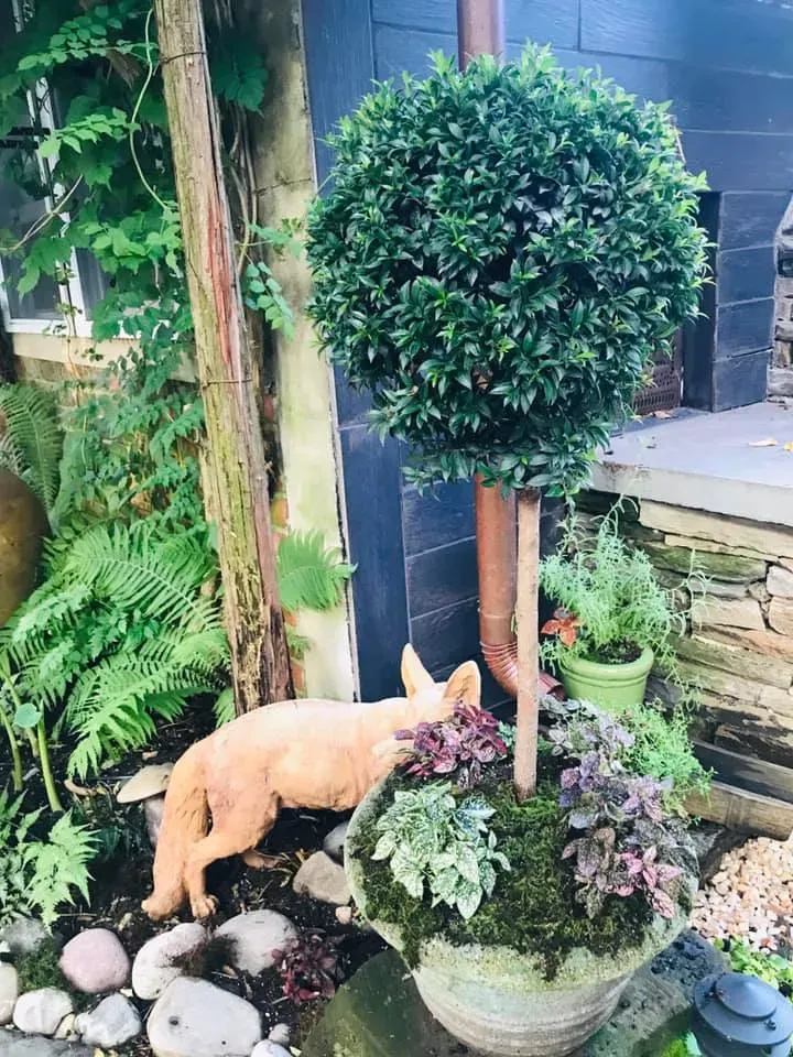 Small tan dog sniffing flowers beside a potted topiary in a garden.