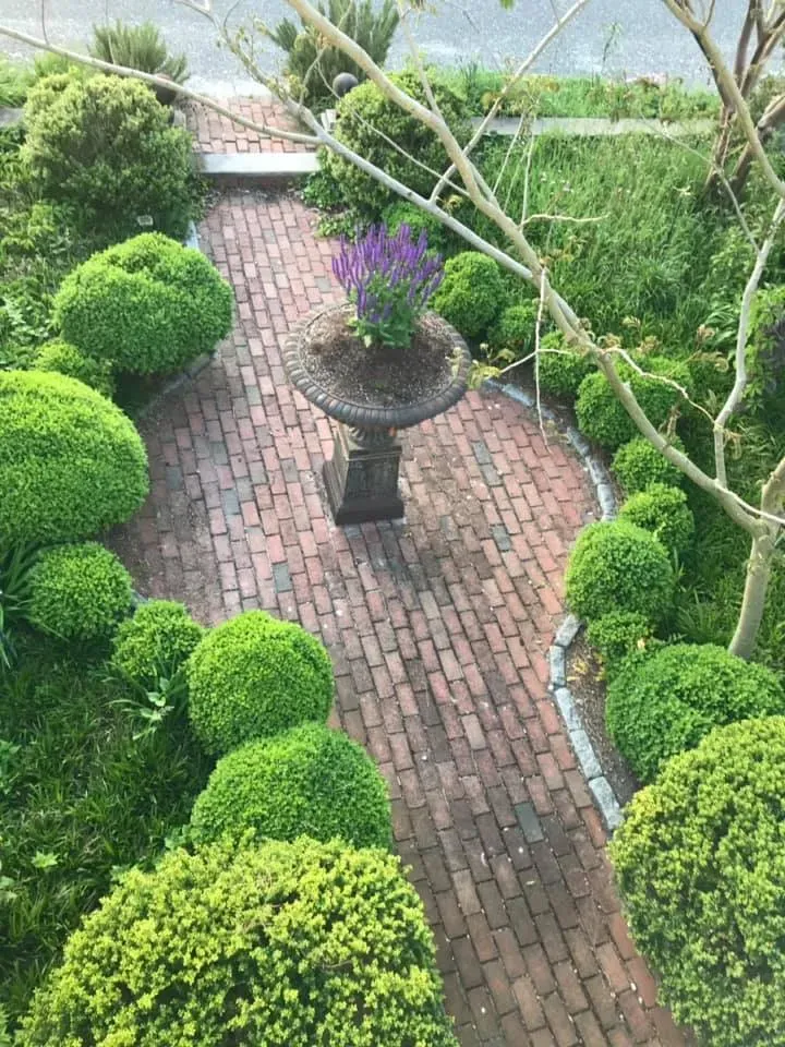 Brick garden path bordered by manicured green shrubs, with a central urn planter of purple flowers.