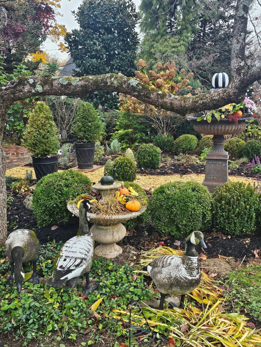 Garden with topiary, stone fountain, pumpkins, and decorative goose statues under a leafy arch.