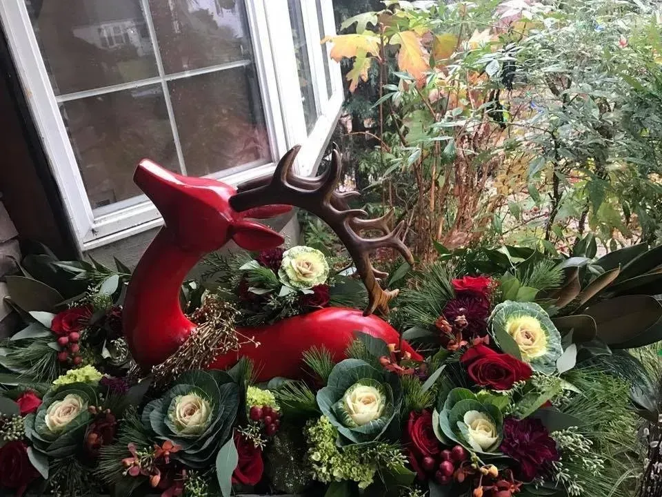 Red reindeer holiday decoration surrounded by red and white roses and greenery outdoors by a window
