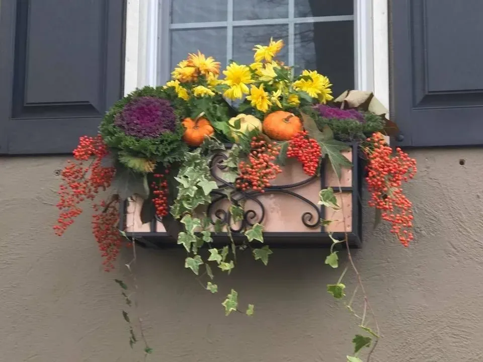 Flower-filled window box with yellow, orange, red, and purple blooms against dark shutters