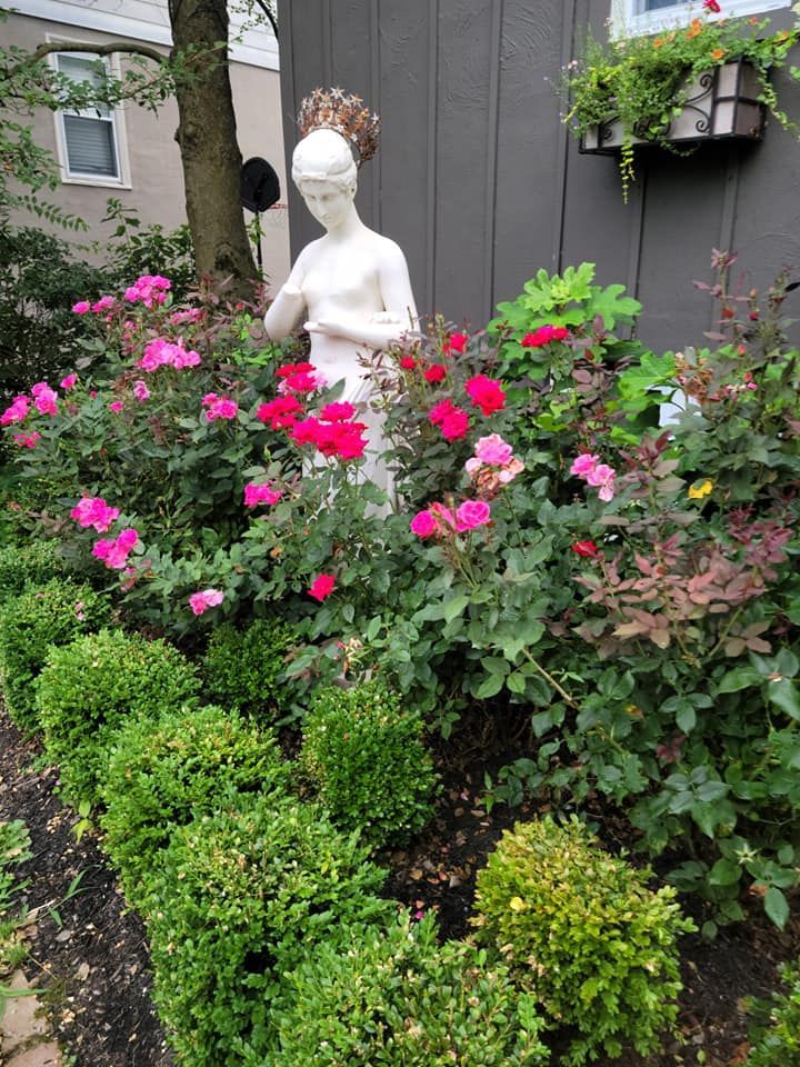 Garden statue amid pink flowers and green shrubs beside a gray fence