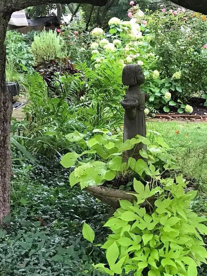 Lush garden with a small wooden statue amid green plants and white flowering shrubs