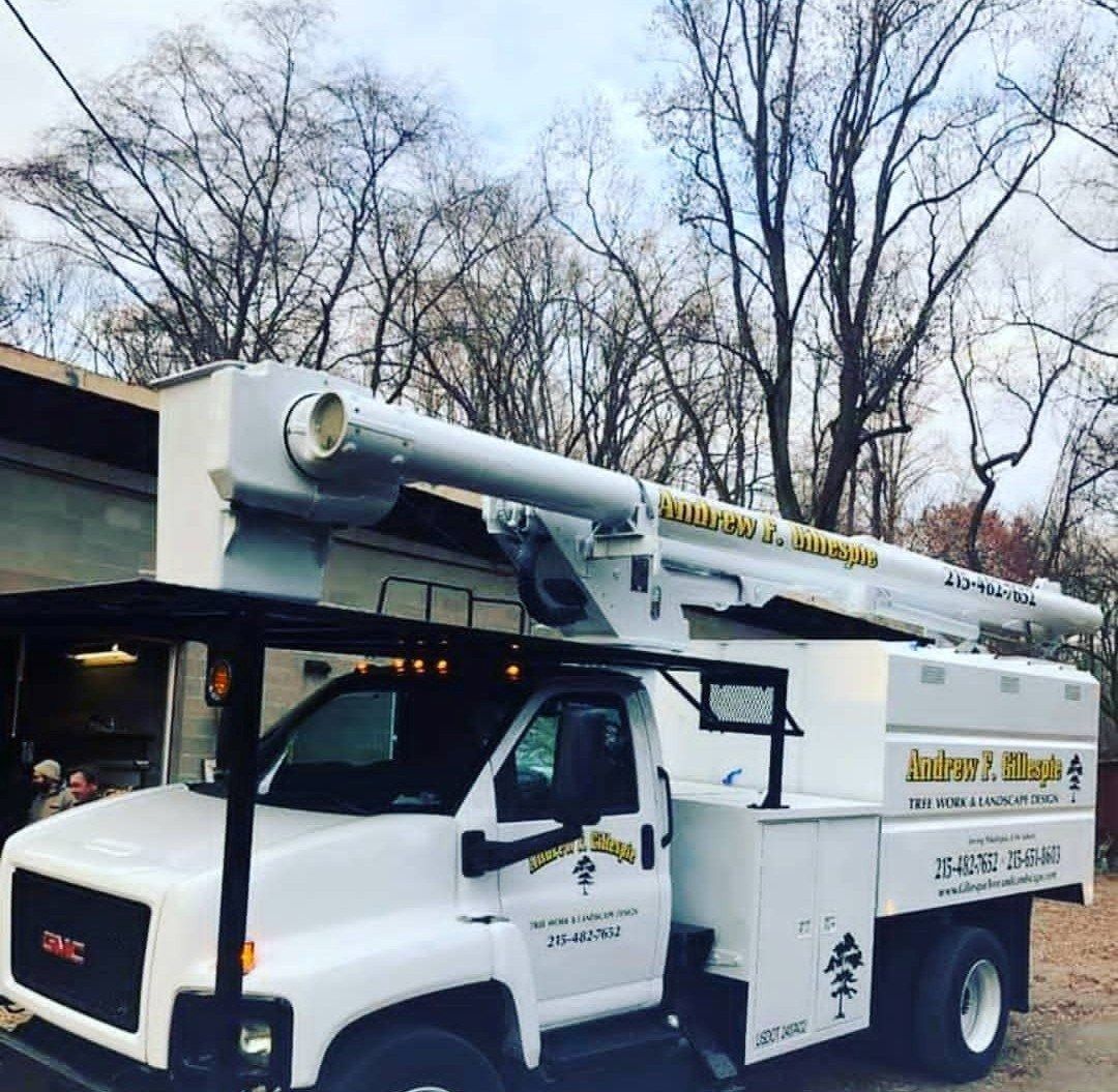 White utility truck with an extended boom parked outdoors near leafless trees