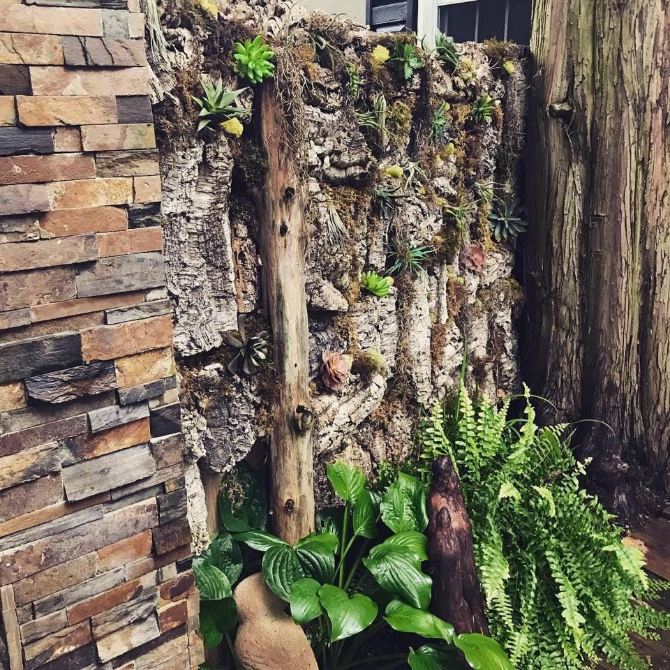 Stone garden wall with cascading water and lush green ferns and plants.