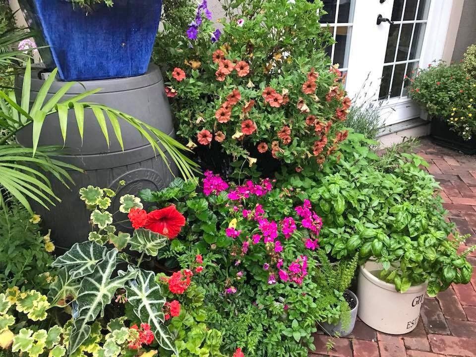 Colorful potted flowers and lush greenery beside a house door and brick walkway