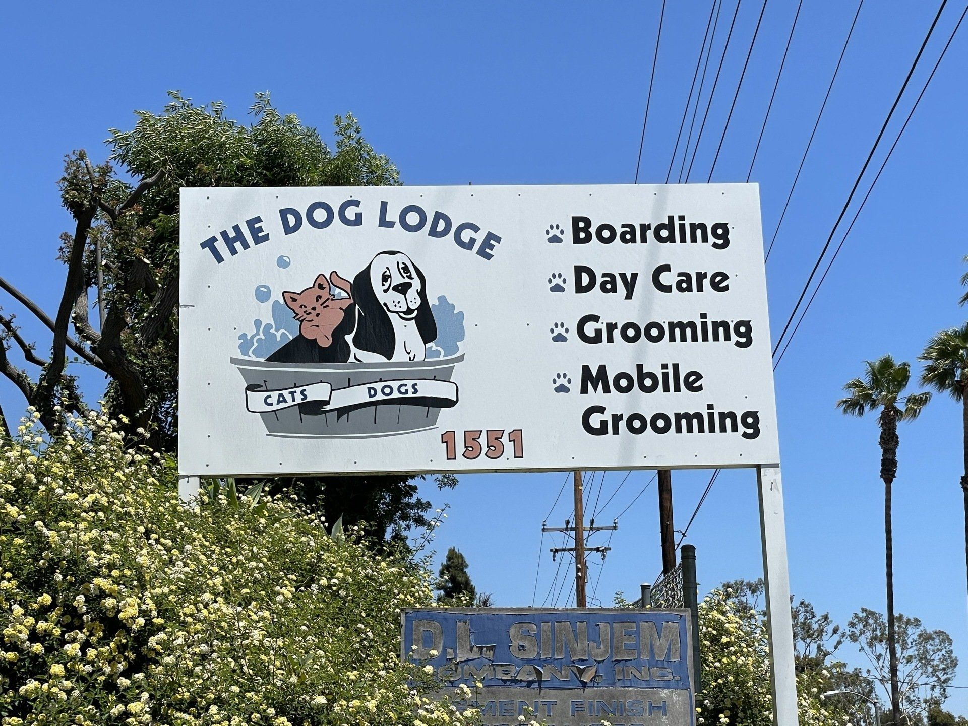 dog grooming