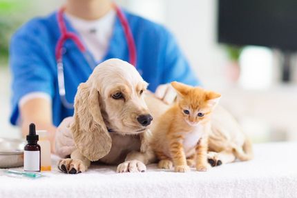 Ridge Animal Clinic