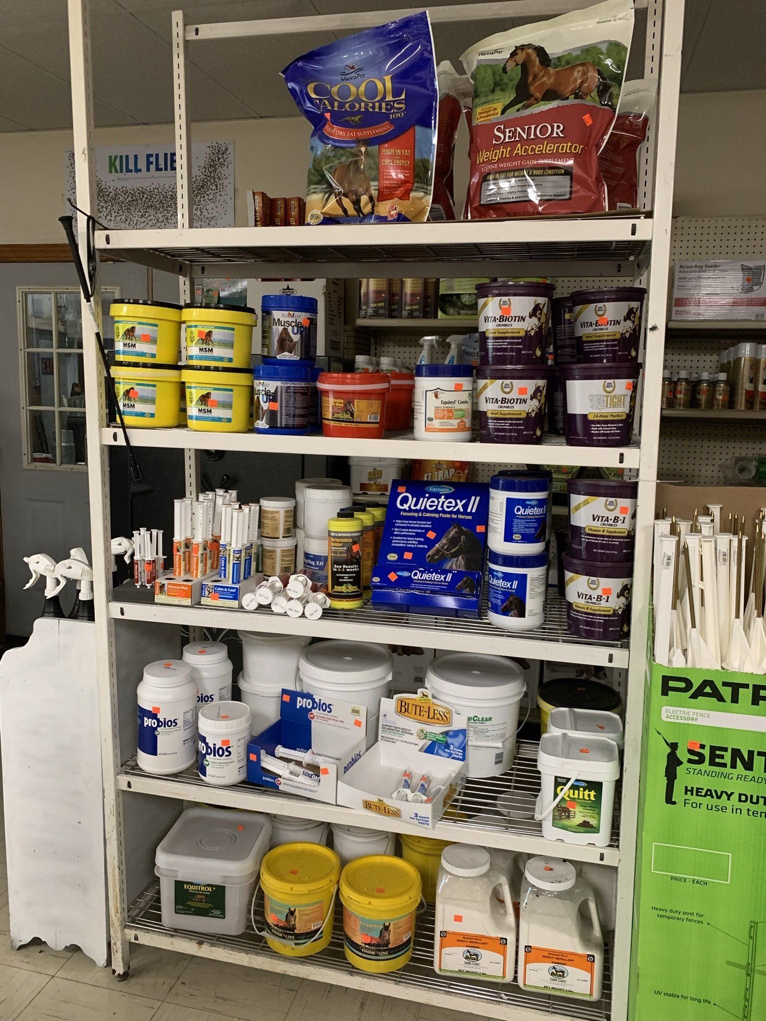 Horse Supplies