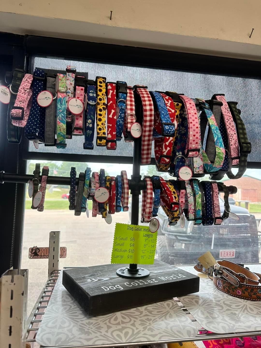 A variety of dog collars are displayed in a store window.