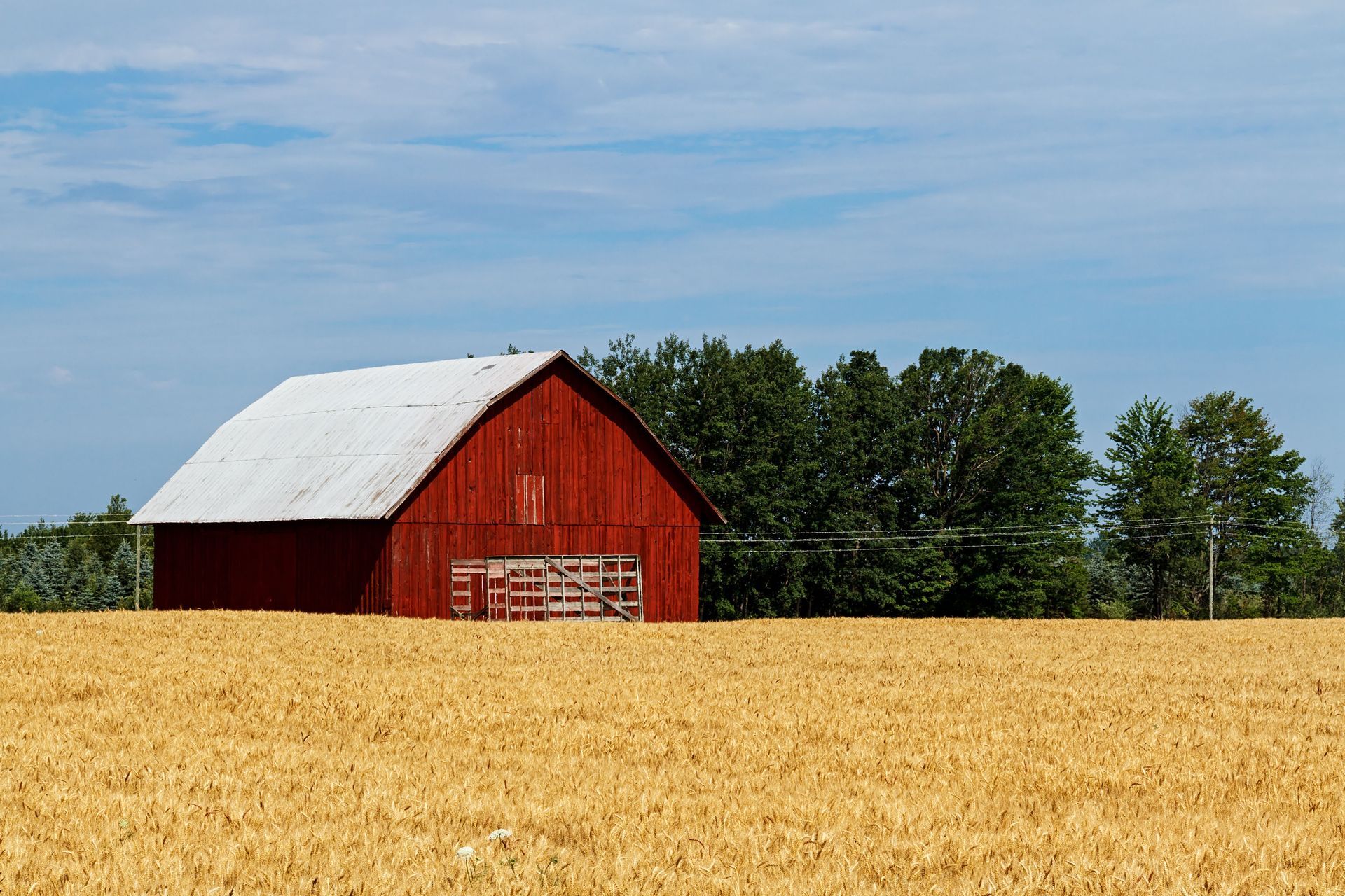 pole barn contractor