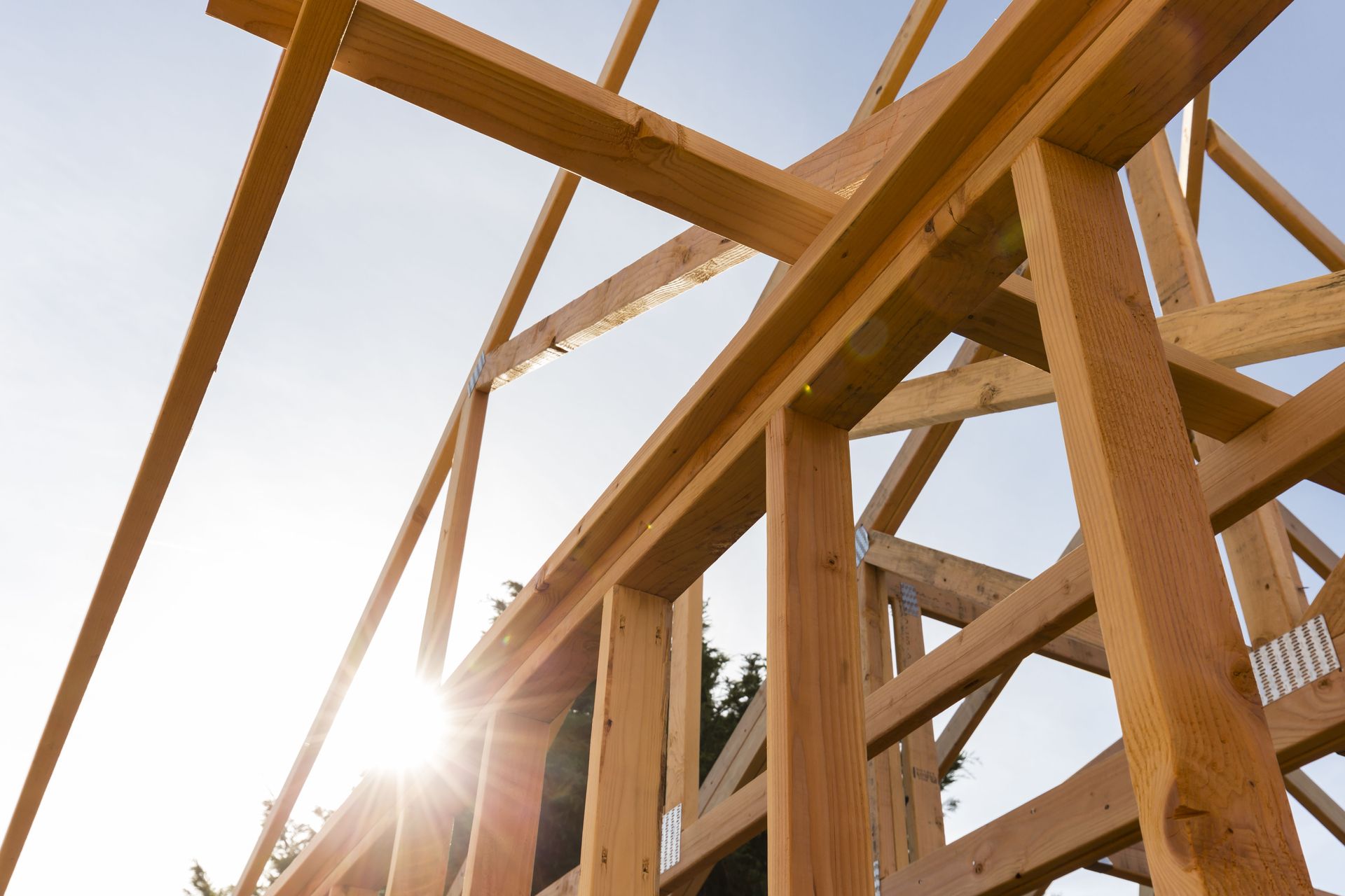 Wooden framework of a building under construction, backlit by the sun.