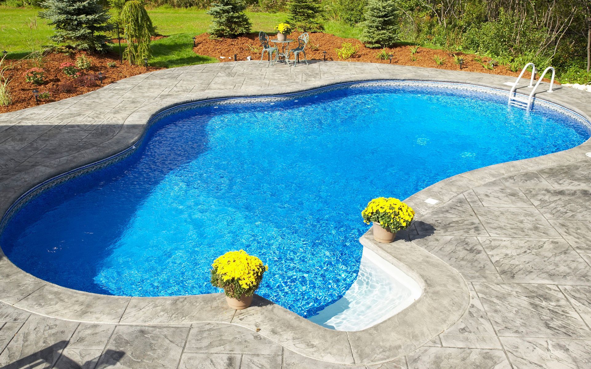 Pool inspection