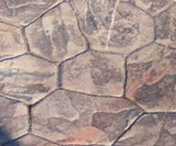 A close up of a concrete floor that looks like a turtle shell.
