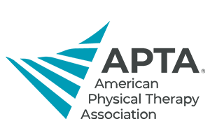 American Physical Therapy Association