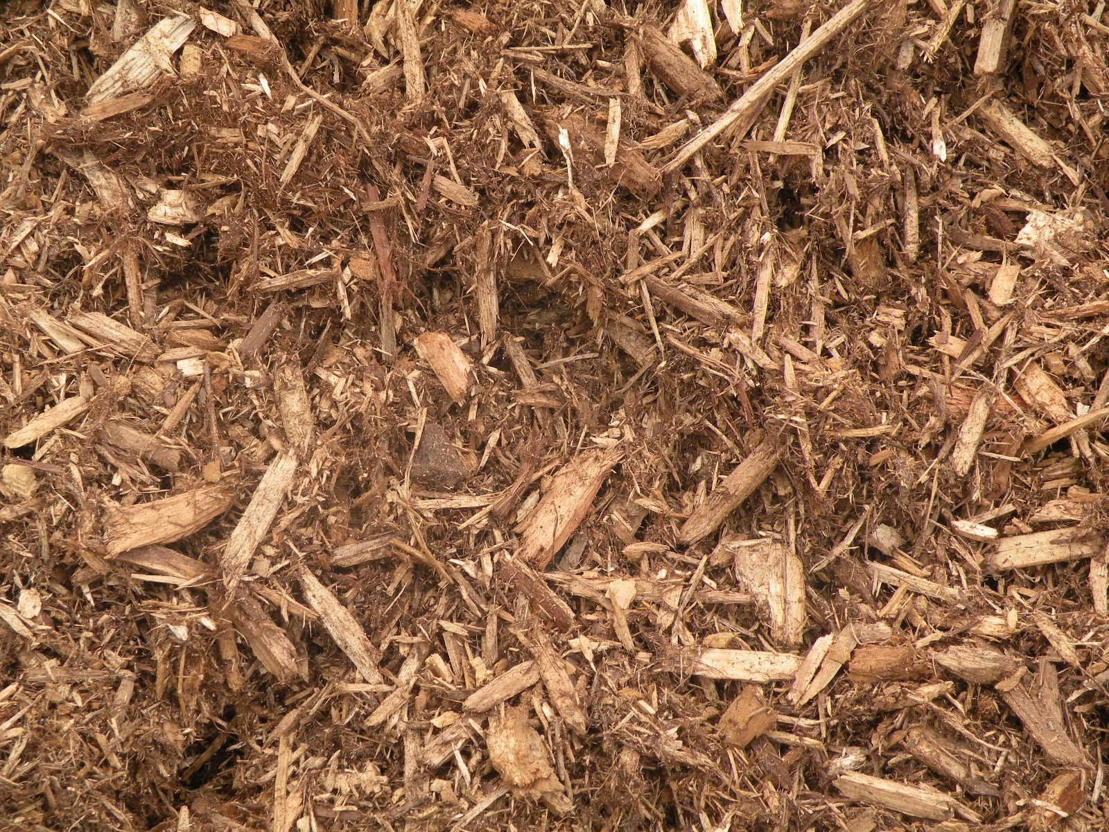 Western Red Cedar Bark (Bulk or Bagged Available)