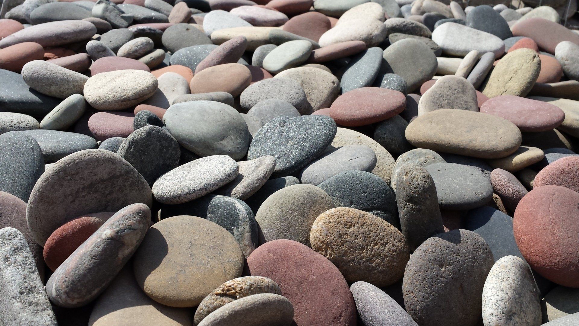 Wisconsin Skippers & Flats