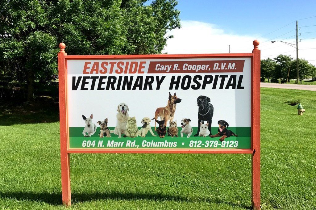 Eastside Veterinary Hospital Signage
