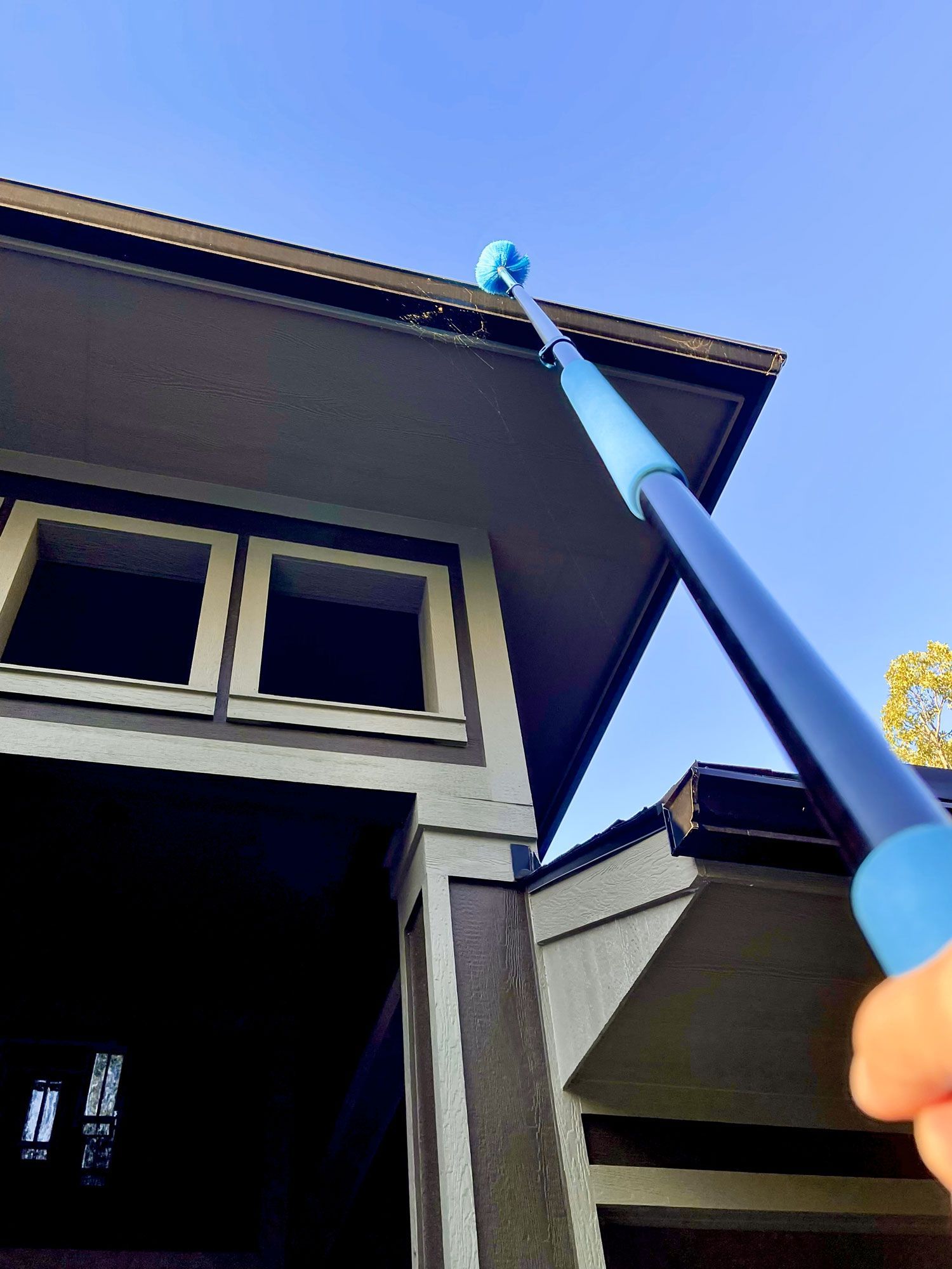 Perimeter Pest Control
