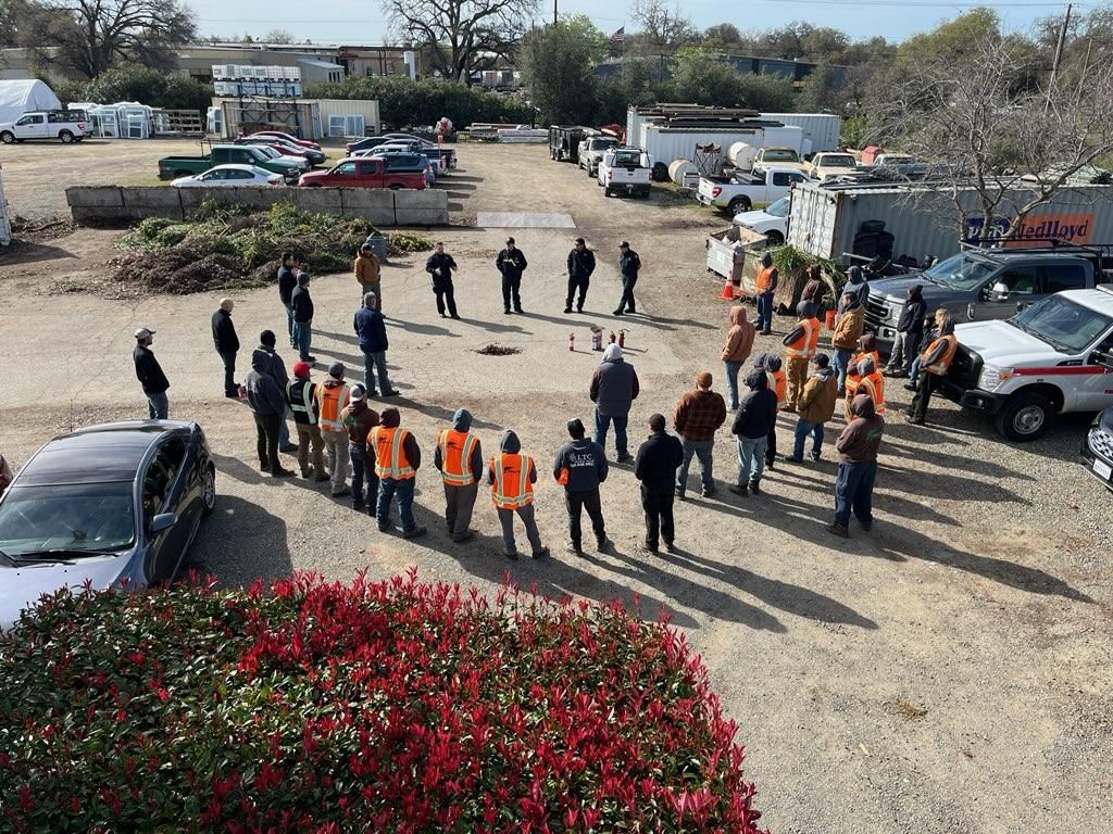 A group of people are standing in a parking lot