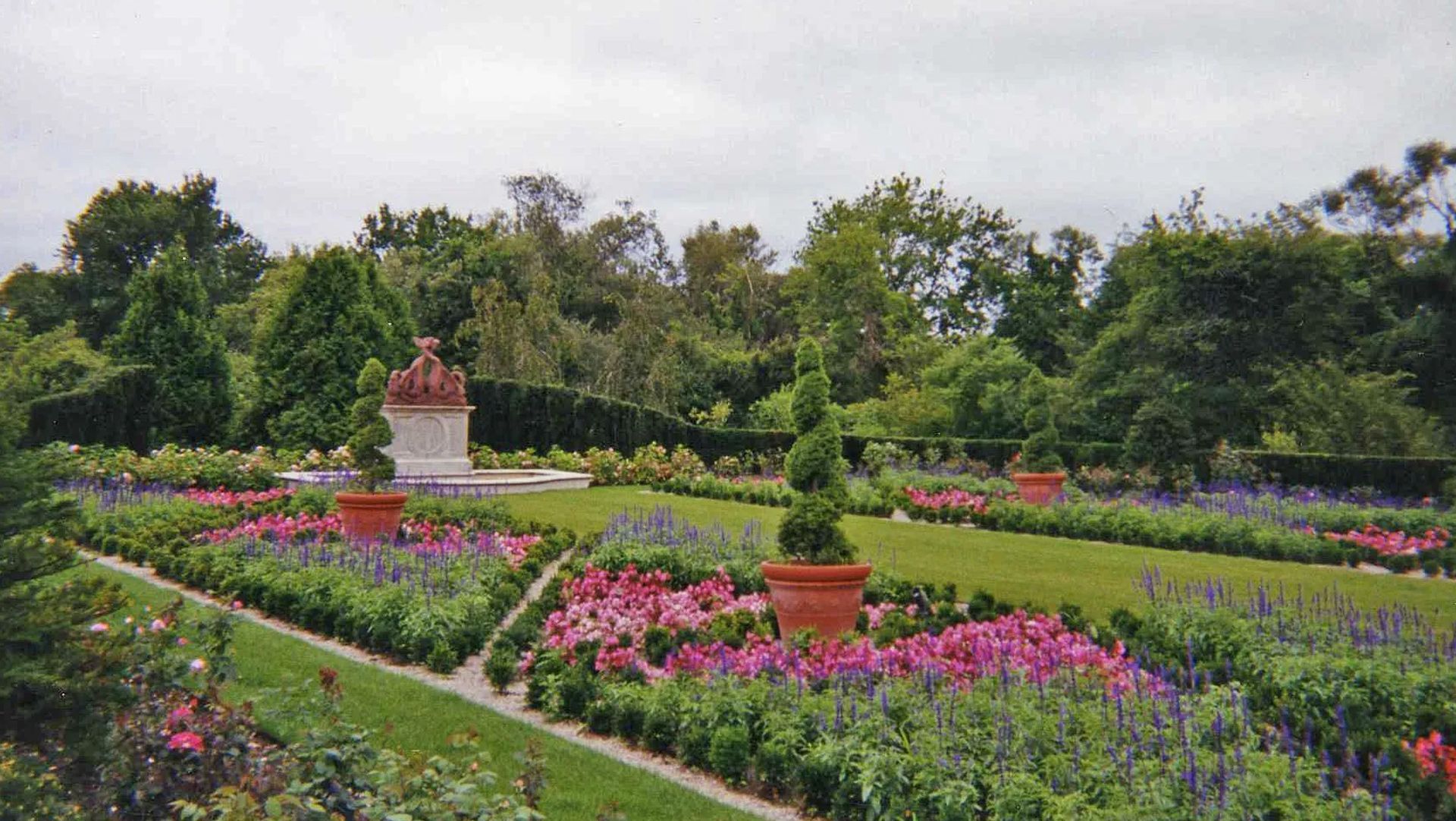 A garden filled with lots of flowers and trees
