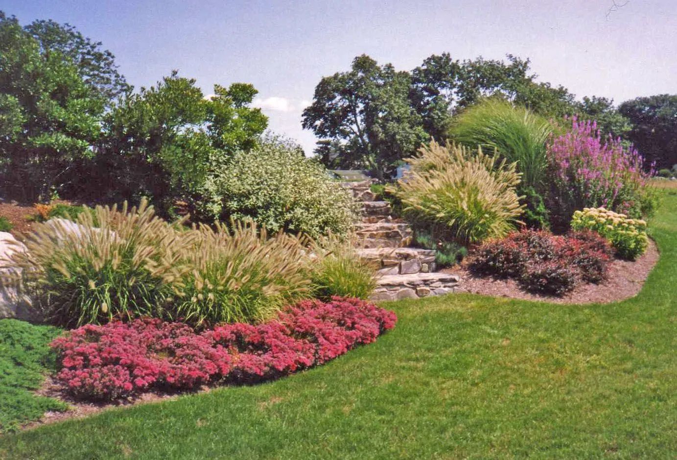 A lush green garden with lots of plants and flowers