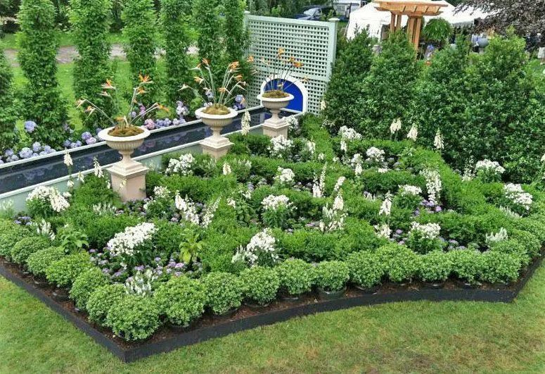 A garden filled with lots of plants and flowers