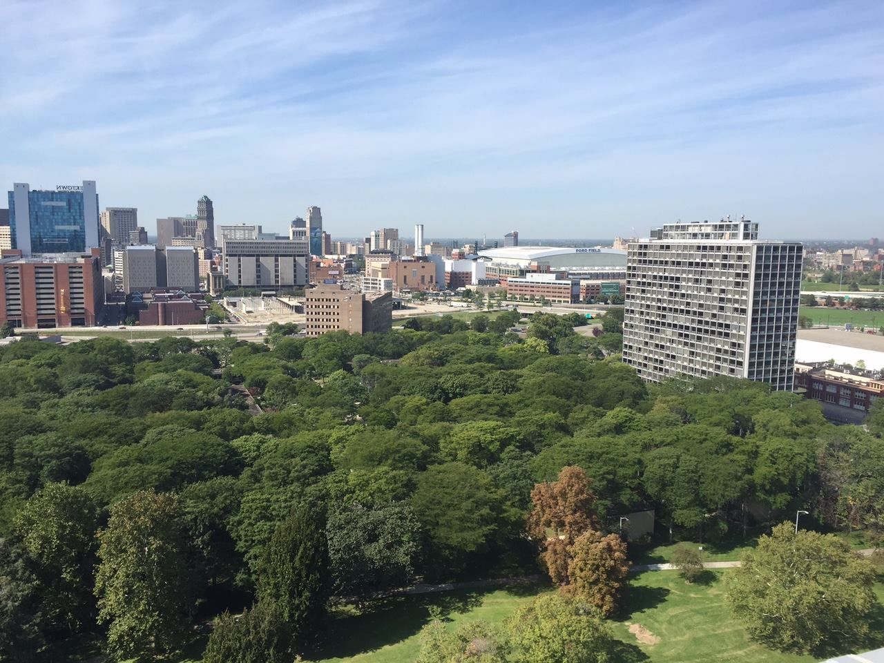 City skyline beyond a large green park under a clear blue sky