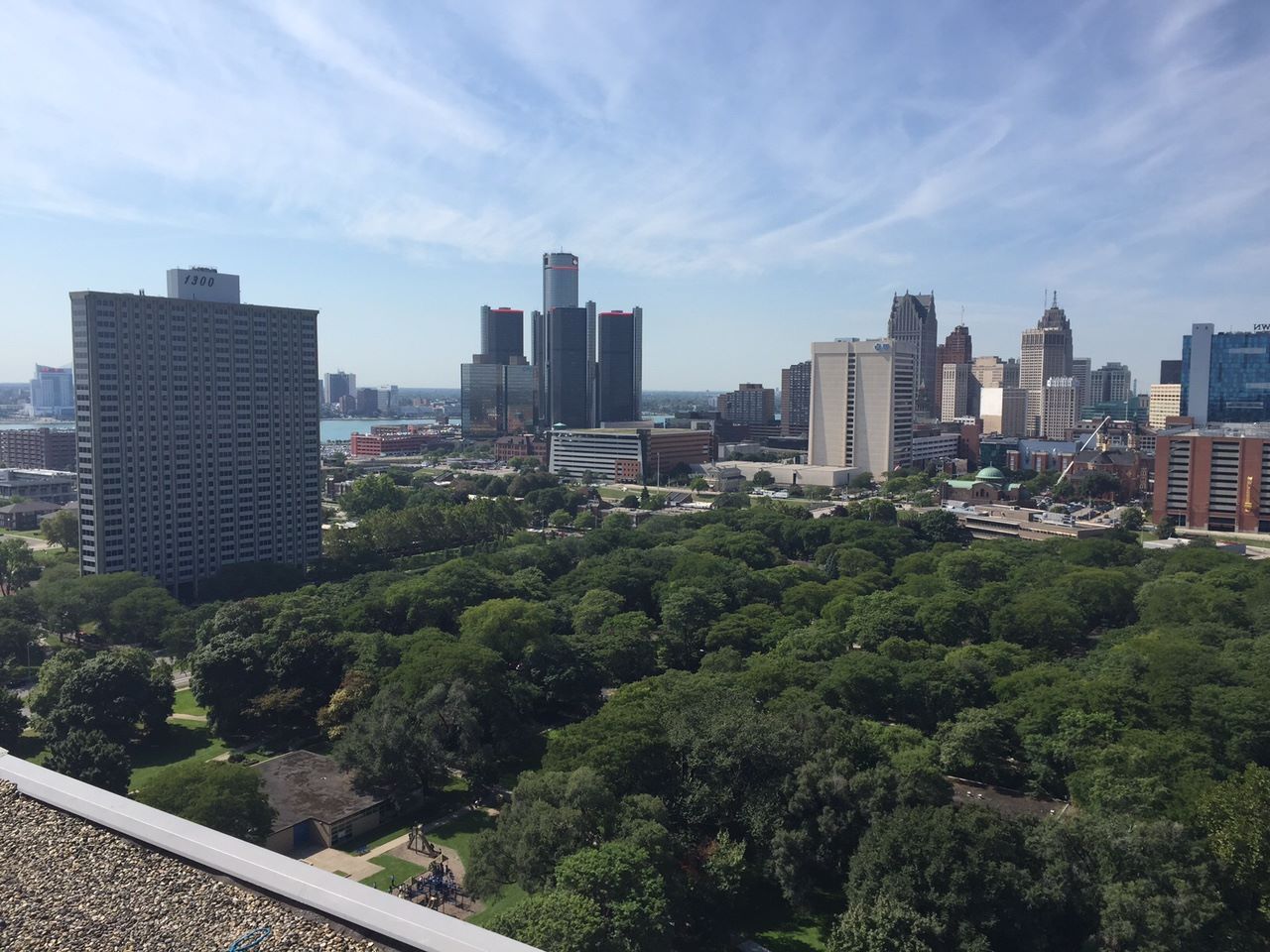 City skyline above a lush green park under a clear blue sky