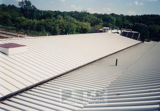 White corrugated metal roof with skylight, seen from above against a tree-lined background