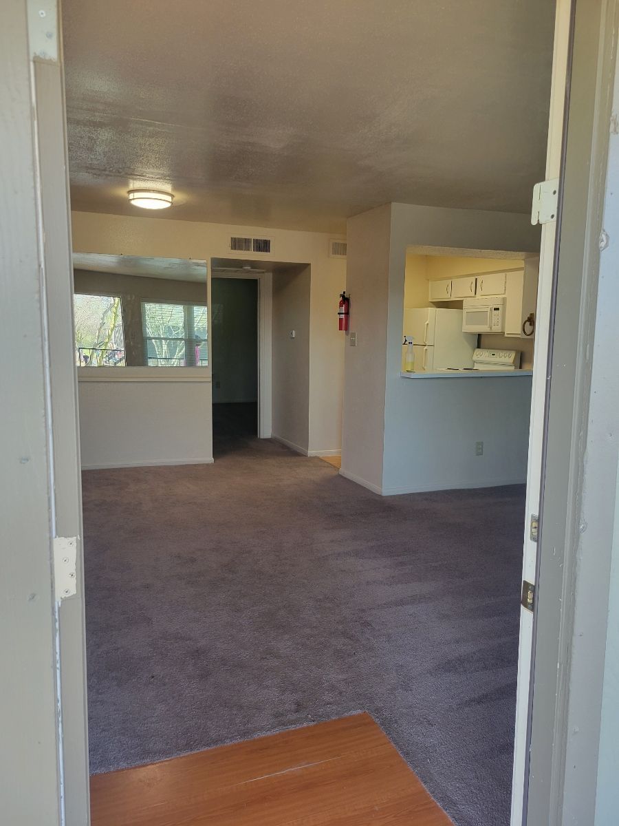 A living room with a carpeted floor and a kitchen in the background