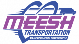 Meesh Transportation Logo