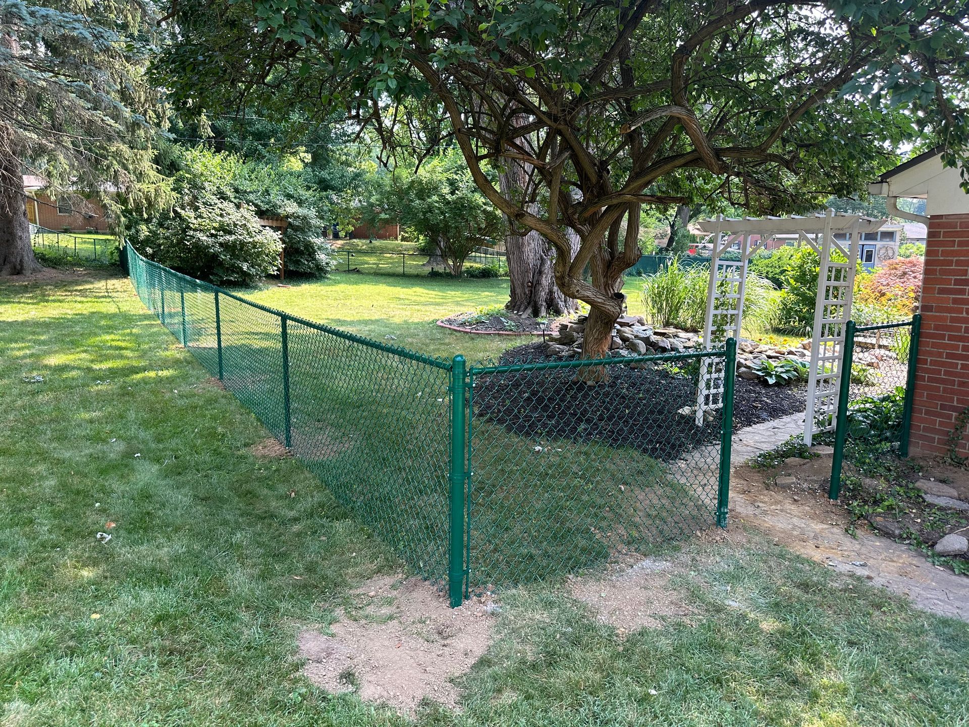 Green chain-link fence in a grassy yard, near a tree, leading to a white archway.