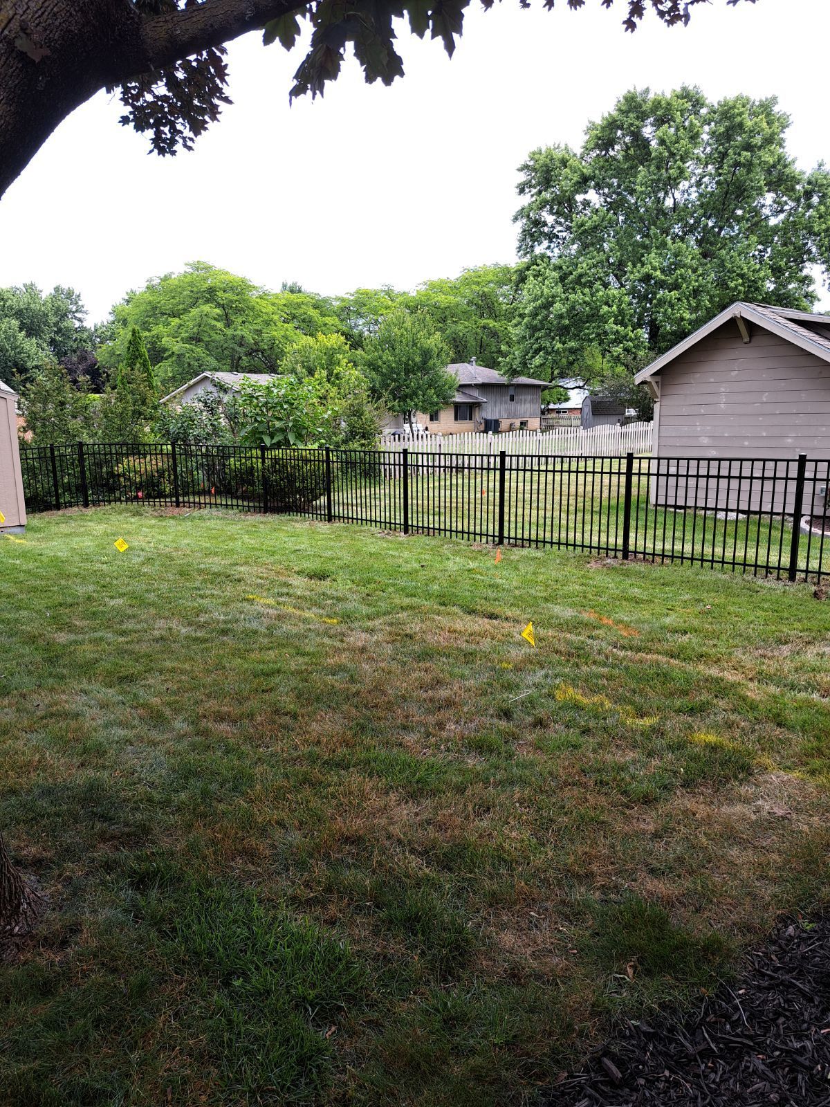 Green backyard with black fence, grass, and trees. Houses visible in the background.