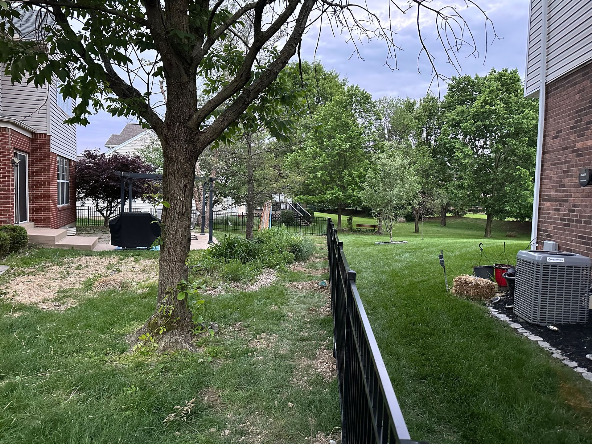 Backyard with a black fence, grass, trees, and buildings on either side.