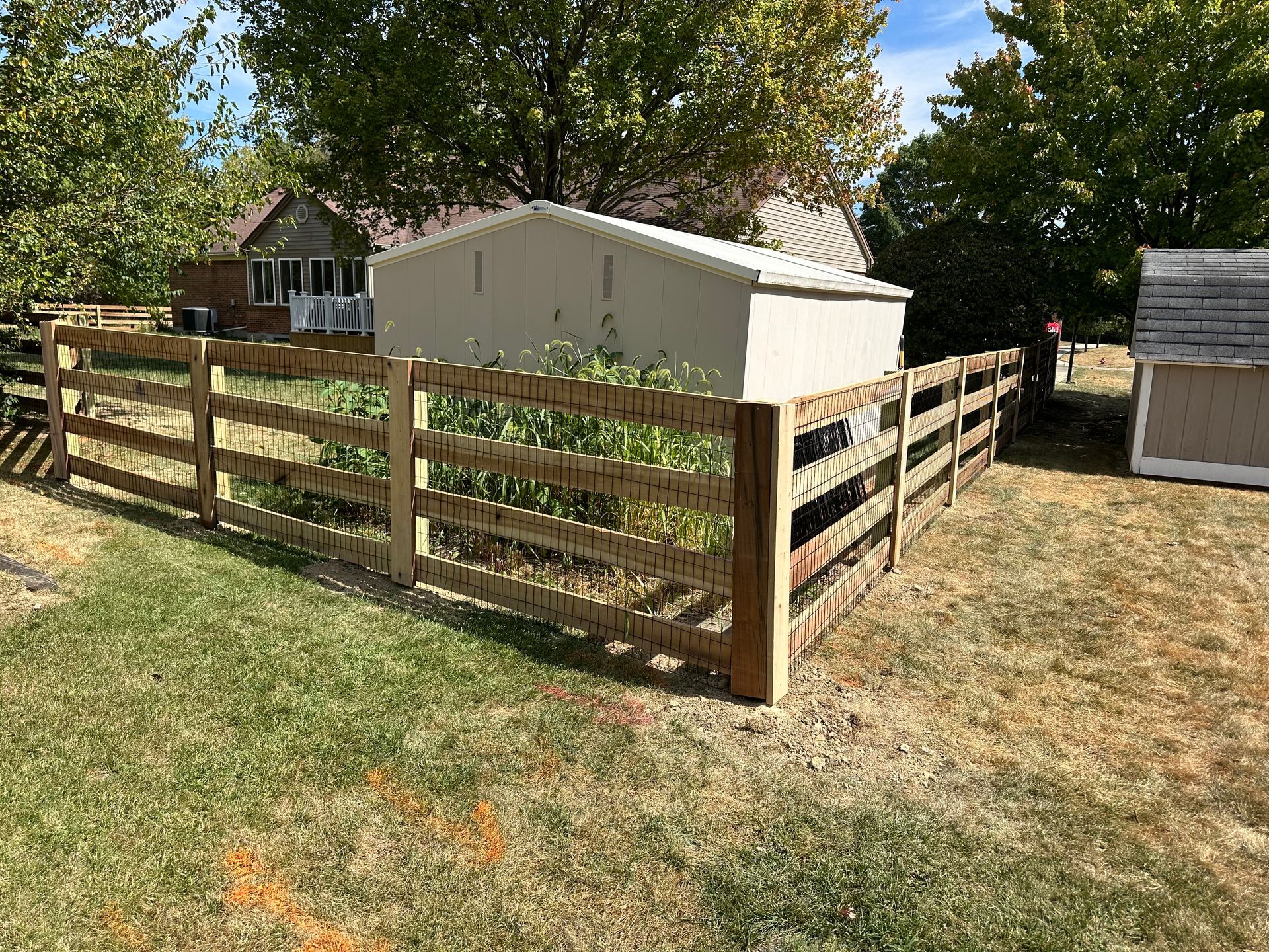 Wooden fence encloses a grassy area, a shed, and trees under a blue sky.