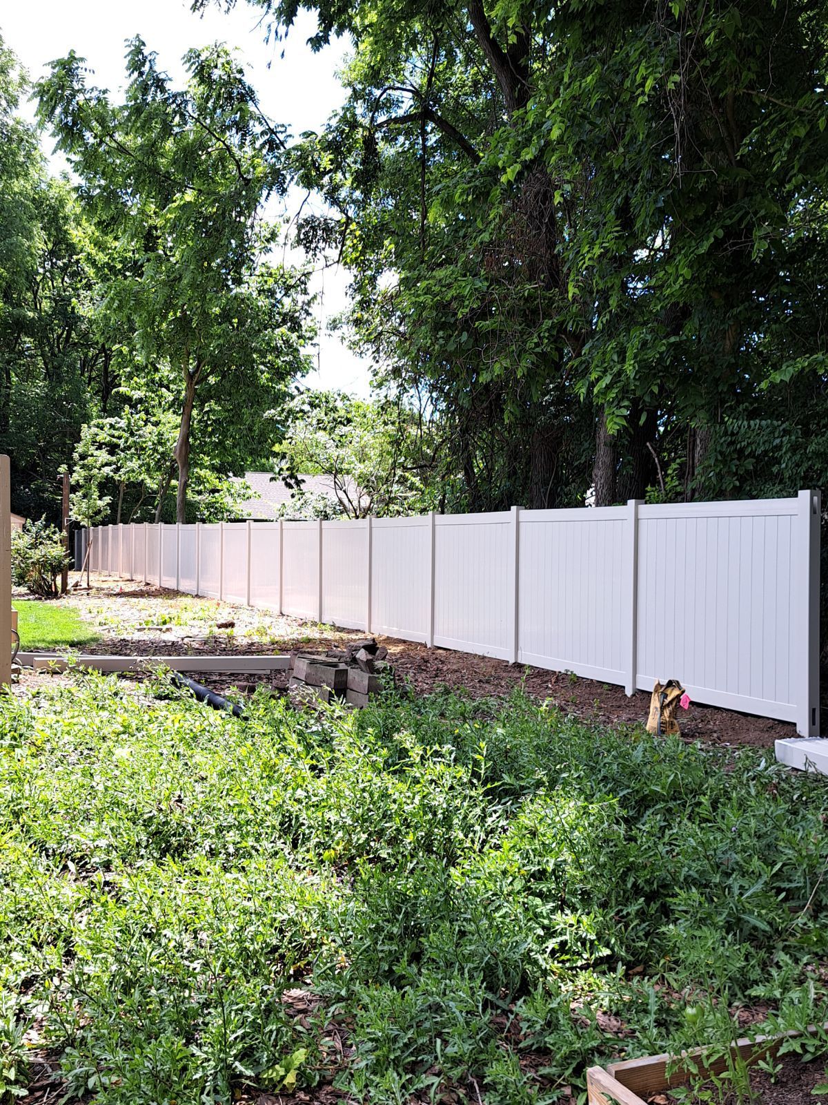 White fence bordering a yard overgrown with green plants, trees in the background.