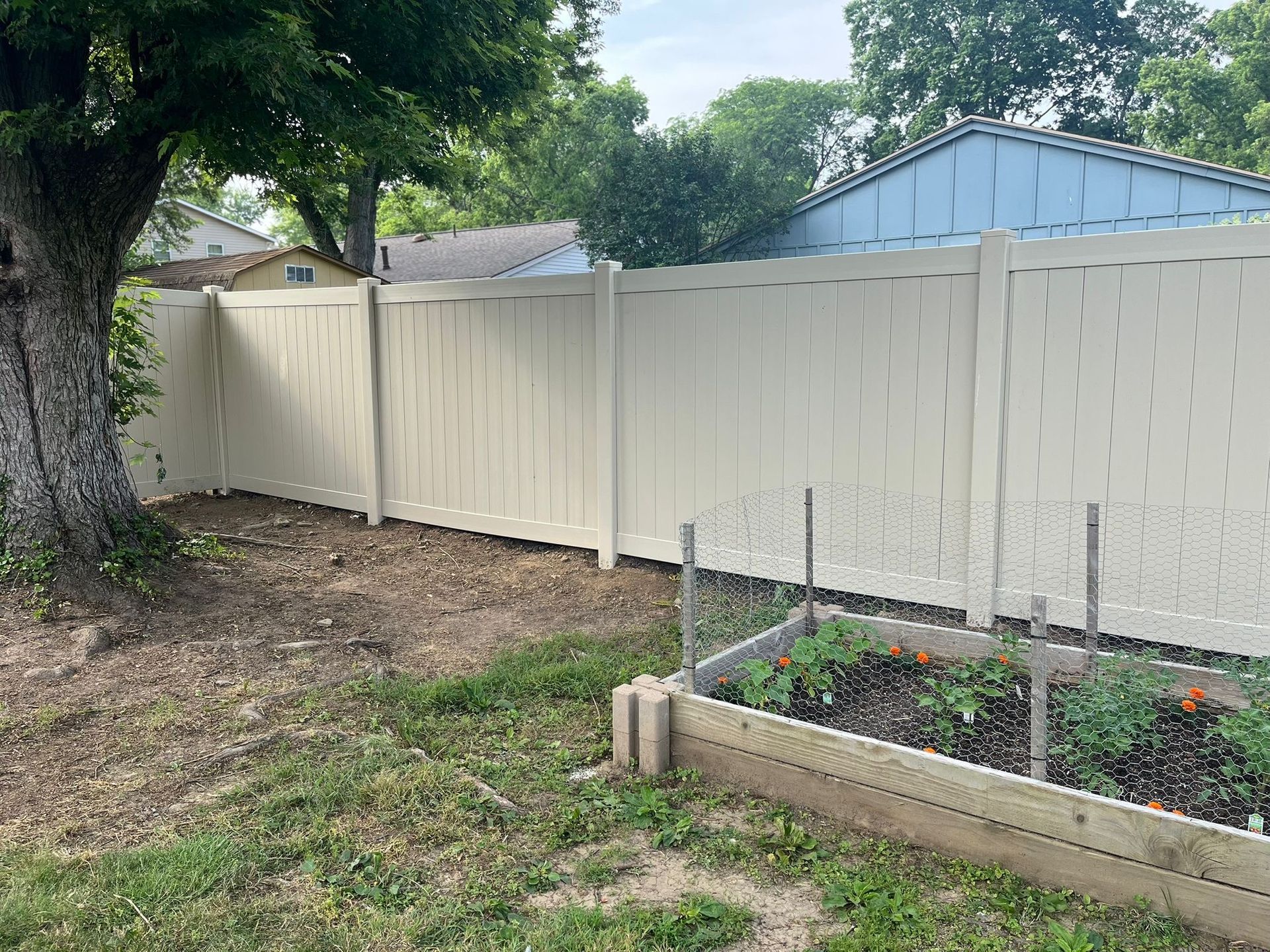 Cream-colored fence surrounds a backyard with a raised garden bed and a tree. A blue house is visible.