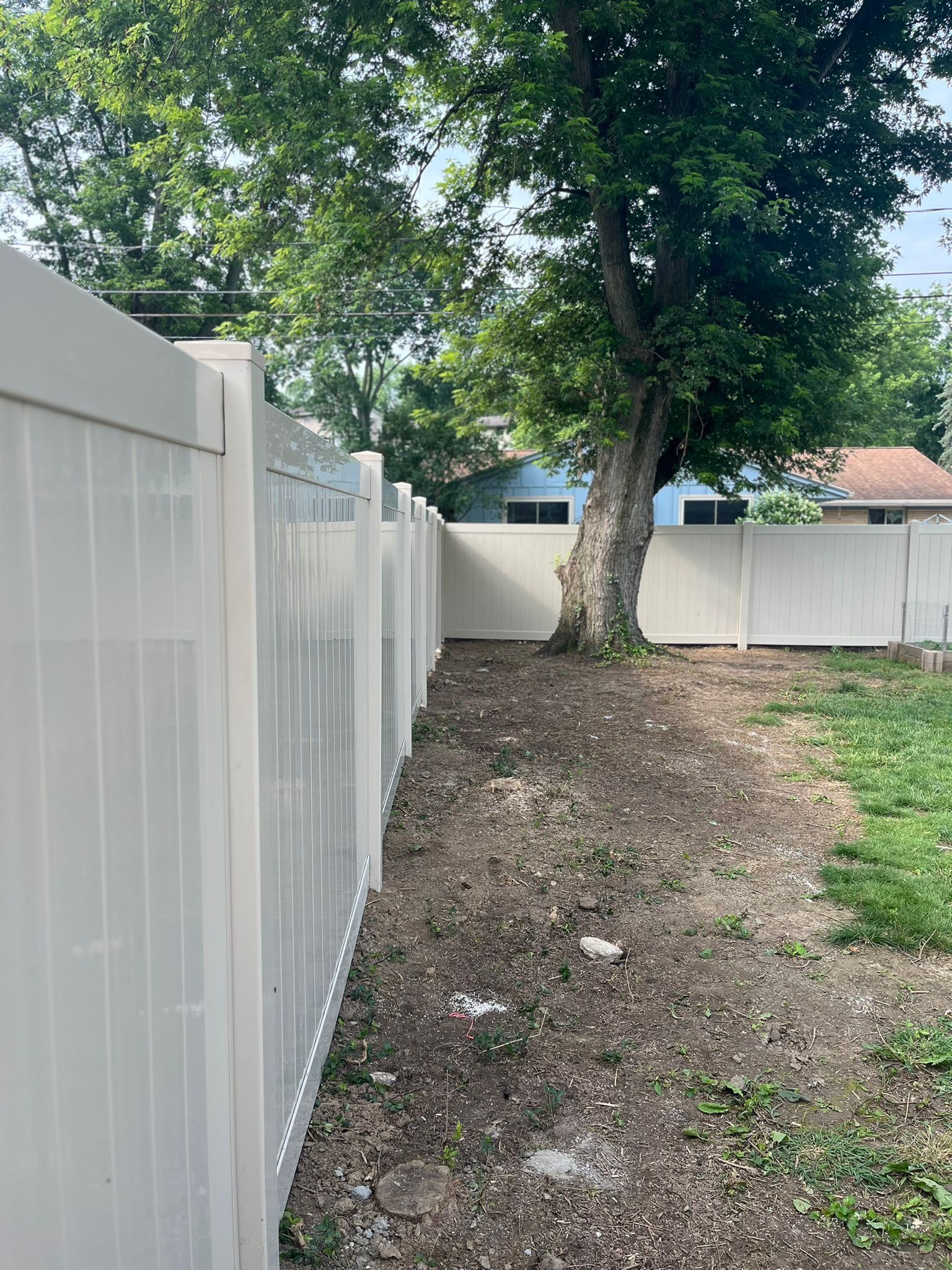 White vinyl fence along dirt path, leading to a tree and more fence in a backyard.