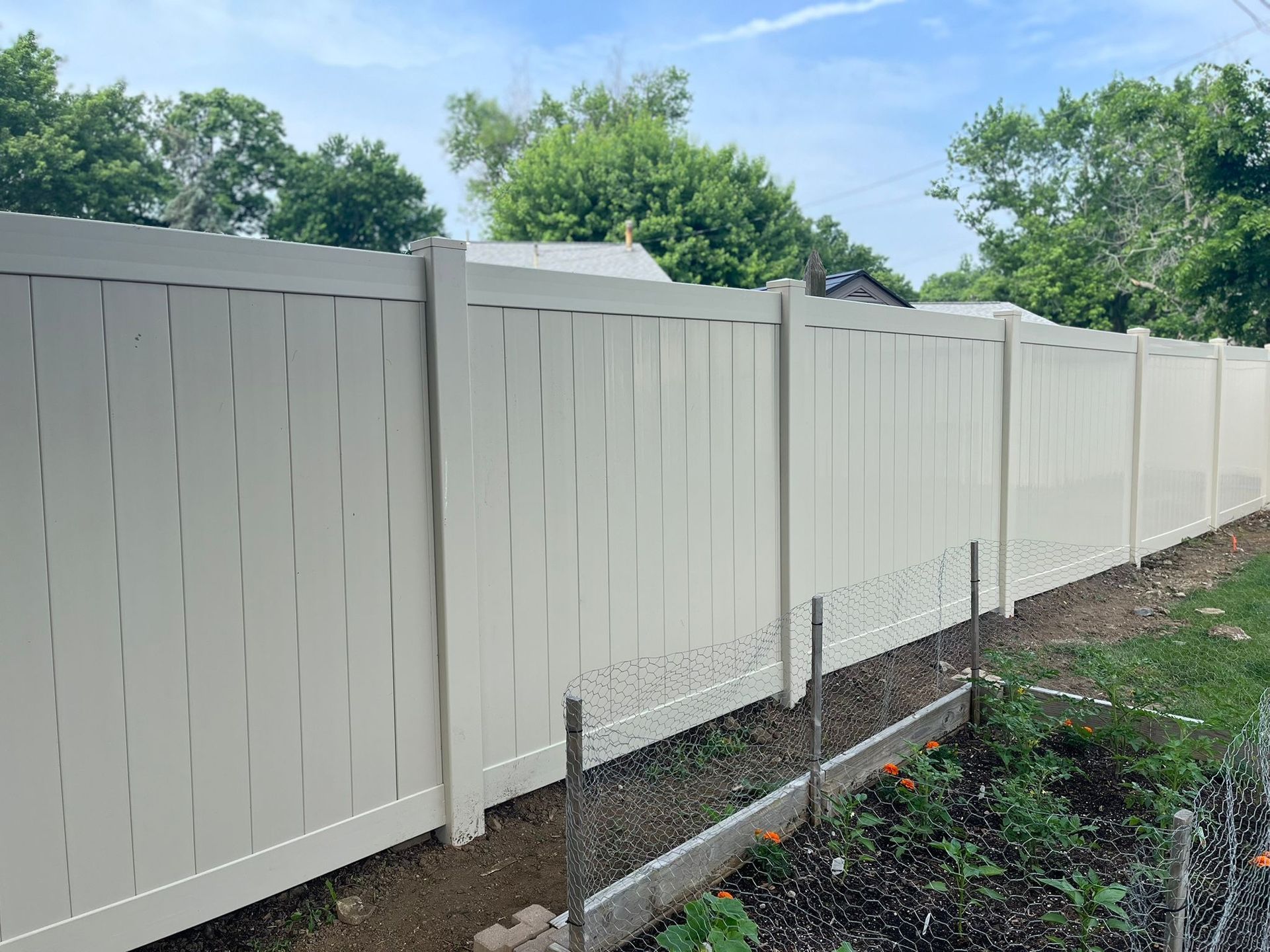 Tan vinyl privacy fence along a garden on a sunny day.