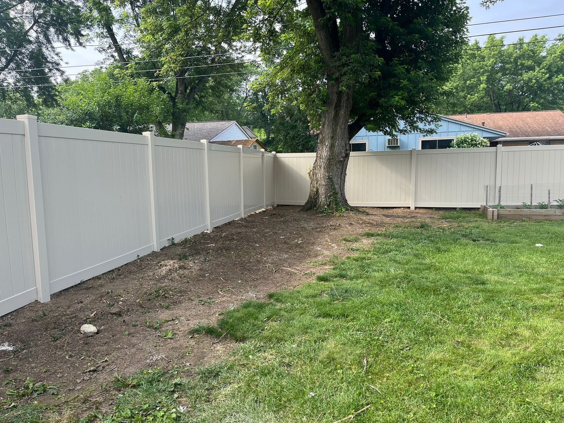 Beige fence around a backyard with a large tree. Green grass and trees are in the background.