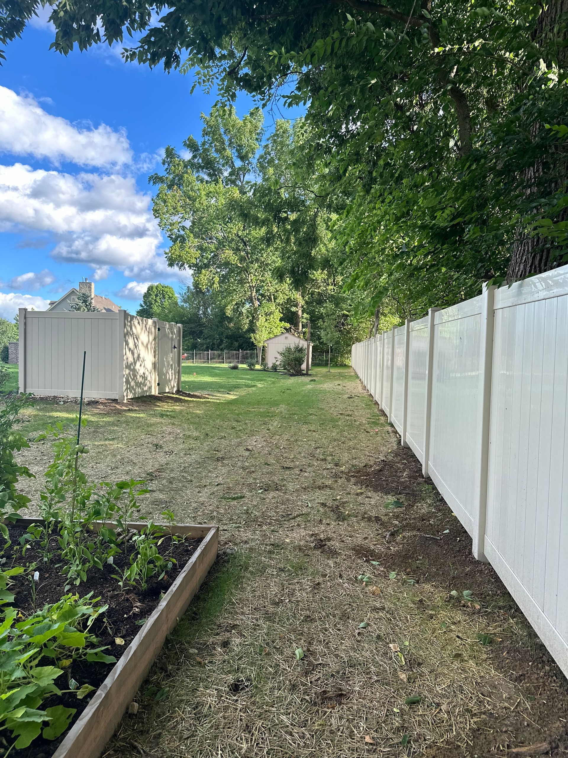 Backyard with white fence, two sheds, raised garden bed, and green trees under a blue sky.