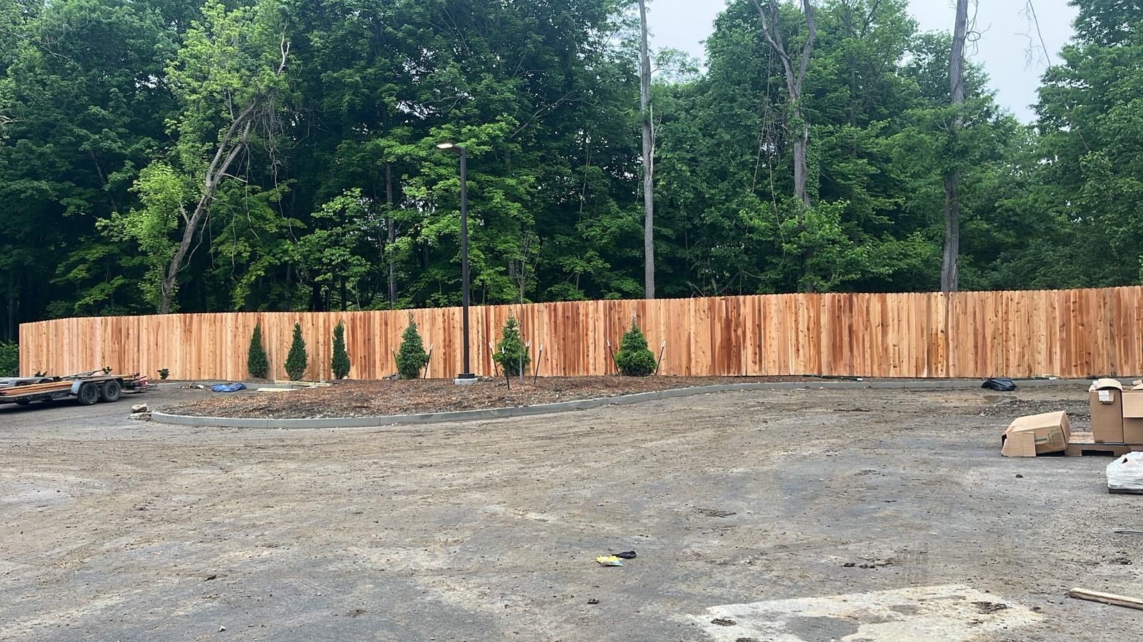 Long wooden privacy fence with trees in the background. Young evergreen trees are planted in front of it.