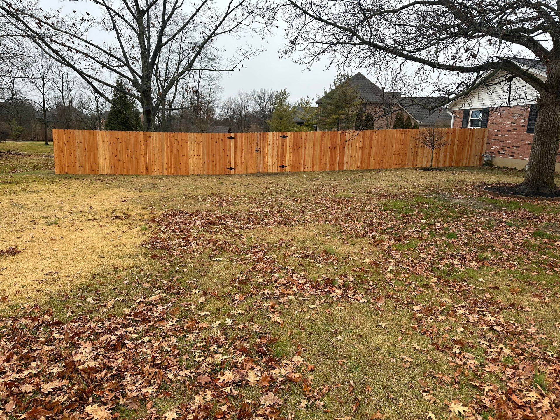 Wooden fence in a backyard with fallen leaves and a house in the background.