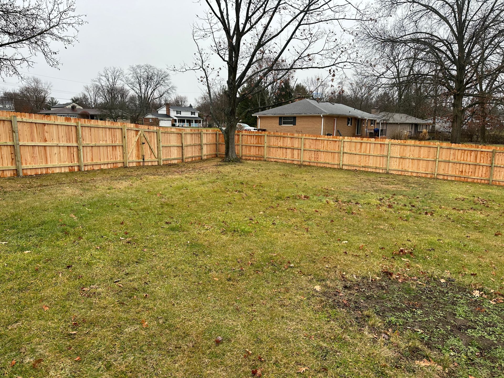 Wooden fence surrounds a grassy yard on a cloudy day, with houses visible in the background.