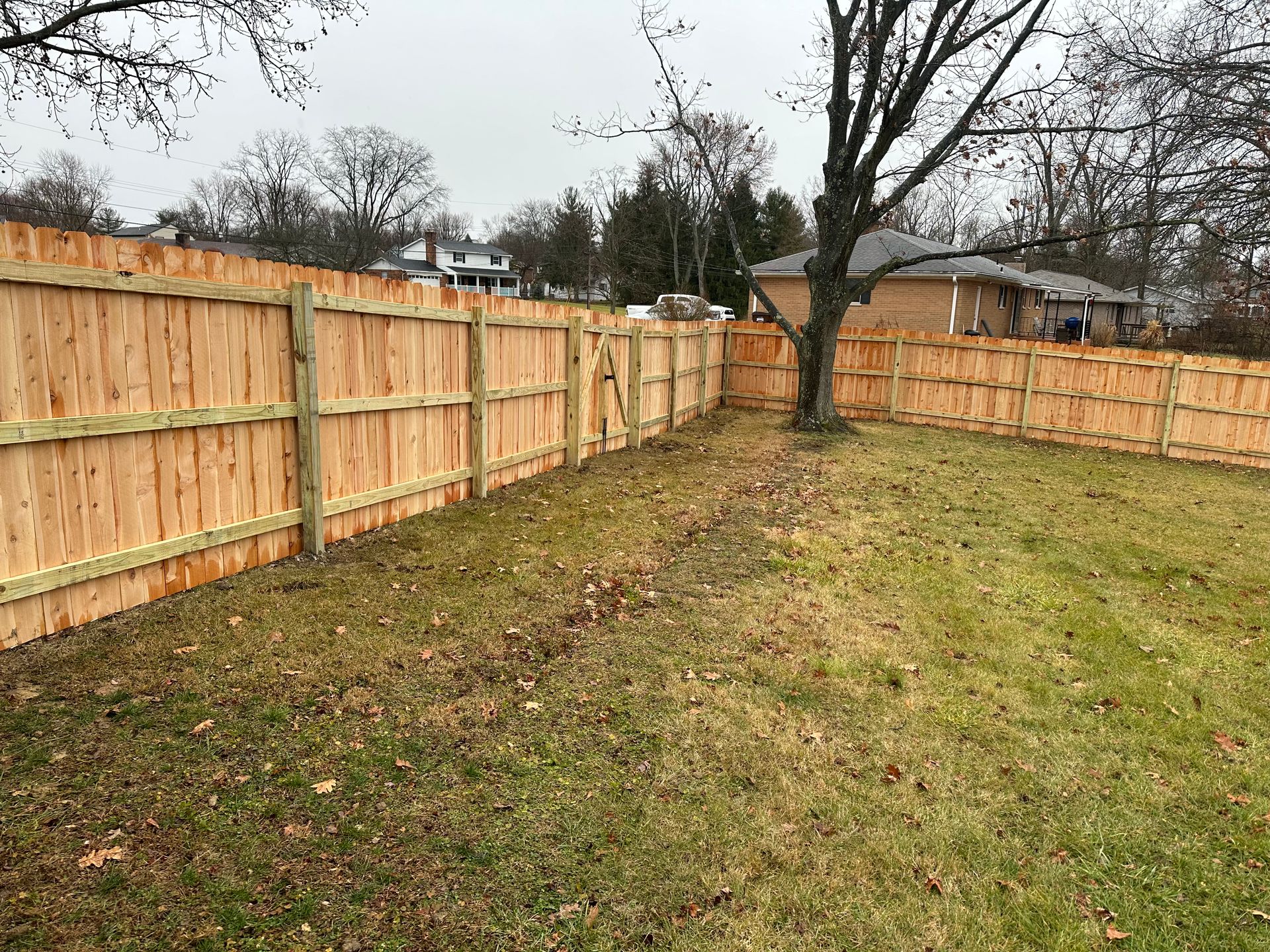 Wooden fence in backyard, spanning length of grassy area. Light brown wood, trees, and houses in the background.