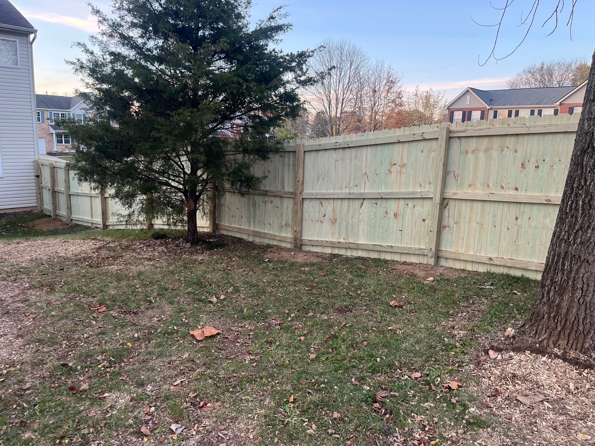 Wooden fence in a backyard with a tree and some grass.