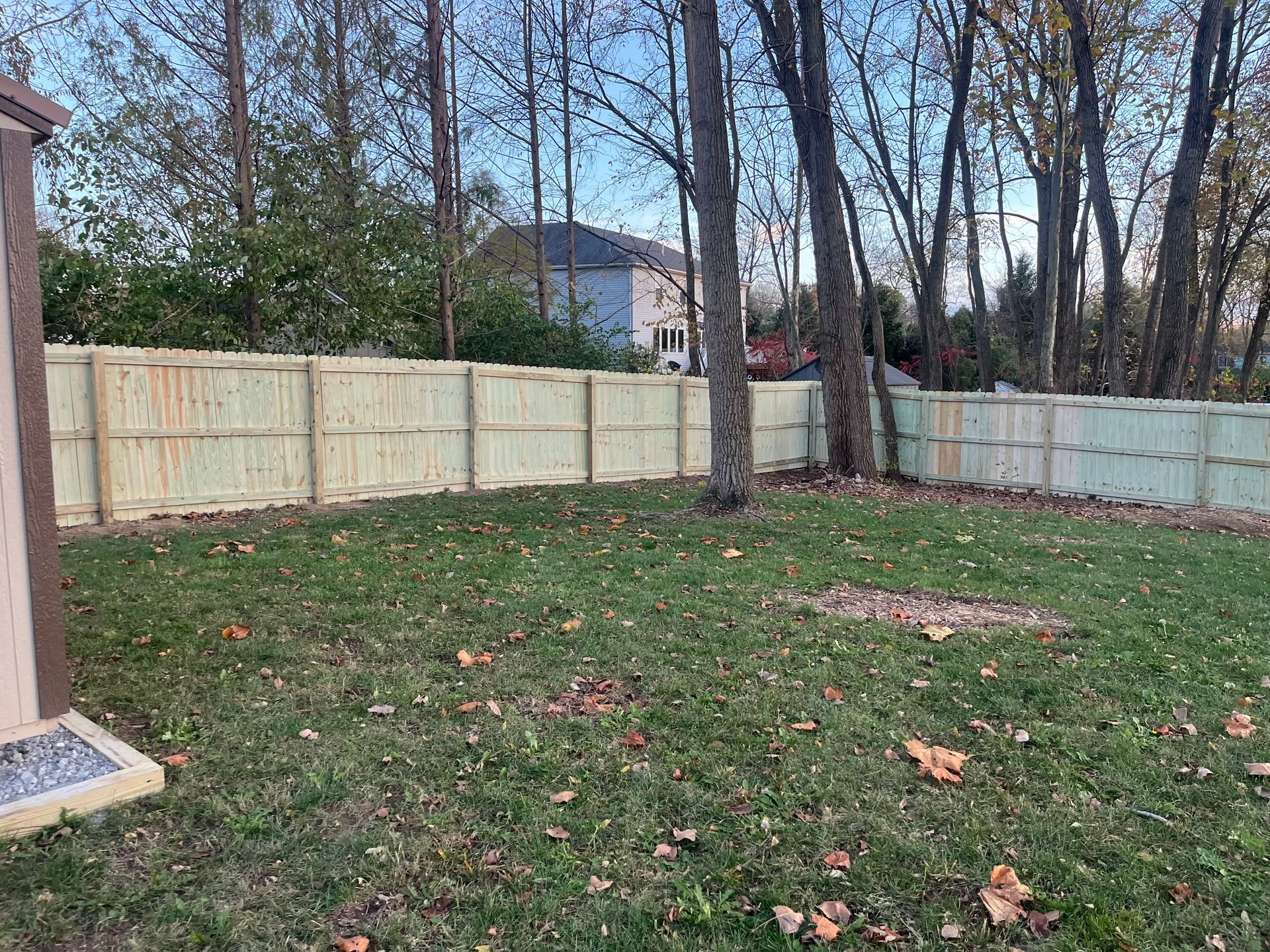 A wooden fence surrounds a grassy yard with fallen leaves and trees. A house is visible in the background.
