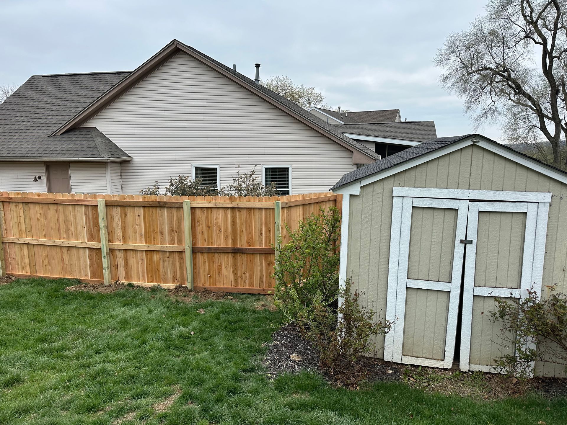 Wooden fence next to a weathered shed, with a house in the background. Green grass in the foreground.