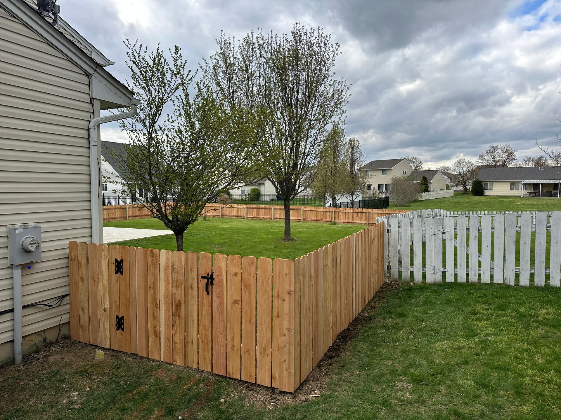 Wooden fence surrounds a small grassy area with two young trees; overcast day.